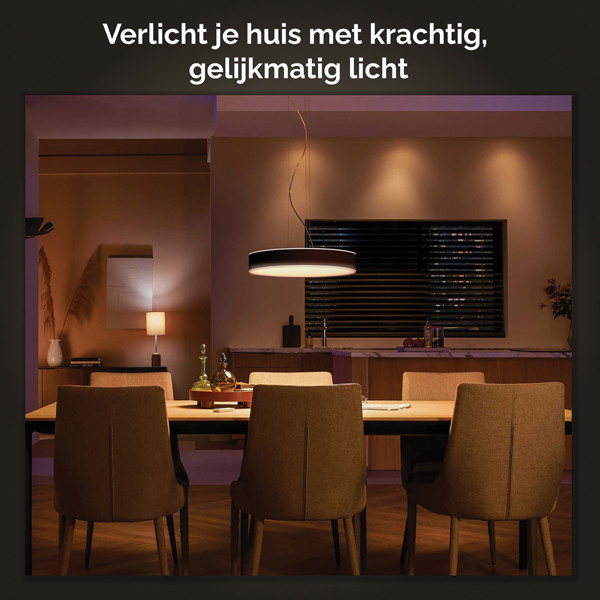 Philips Hue Enrave Hanglamp | Zwart | White Ambiance | incl. dimmer switch  LPH02784 - 5