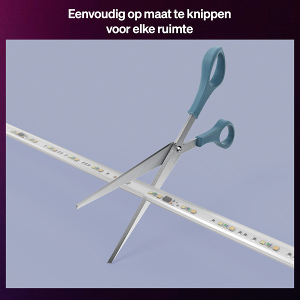 Philips Hue Essential Lightstrip 10 meter | White & Color Ambiance LPH04585 - 4