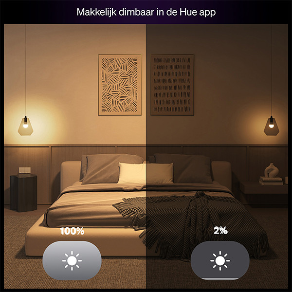 Philips Hue Essential Smart lamp E27 | Peer A60 | Mat | White & Color Ambiance | Zigbee LPH04289 - 5