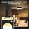 Philips Hue Fair Plafondlamp | Wit | White Ambiance | incl. dimmer switch  LPH02763 - 4
