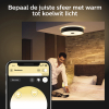 Philips Hue Fair Plafondlamp | Zwart | White Ambiance | incl. dimmer switch  LPH02764 - 4