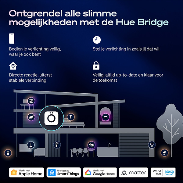 Philips Hue Festavia ijspegelverlichting | 8.5 meter | White & Color Ambiance | 250 lampjes | Zigbee | IP54 LPH05152 - 10