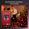 Philips Hue Festavia kerstverlichting | 20 meter | 250 lampjes | White & Color Ambiance | 14W  LPH03373 - 6