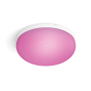 Philips Hue Flourish Plafondlamp | Wit | White en Color Ambiance  LPH02766 - 10