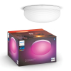 Philips Hue Flourish Plafondlamp | Wit | White en Color Ambiance  LPH02766