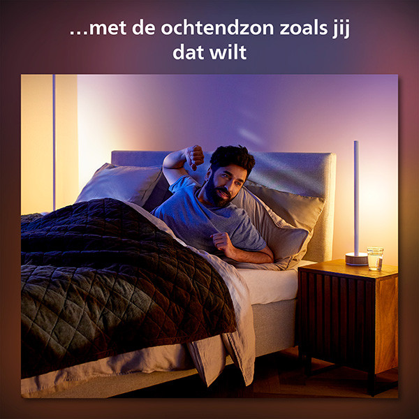 Philips Hue Gradient Signe Tafellamp | Oak | White & Color Ambiance  LPH02971 - 6