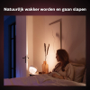 Philips Hue Iris tafellamp zilver | White and Color Ambiance  LPH02880 - 5