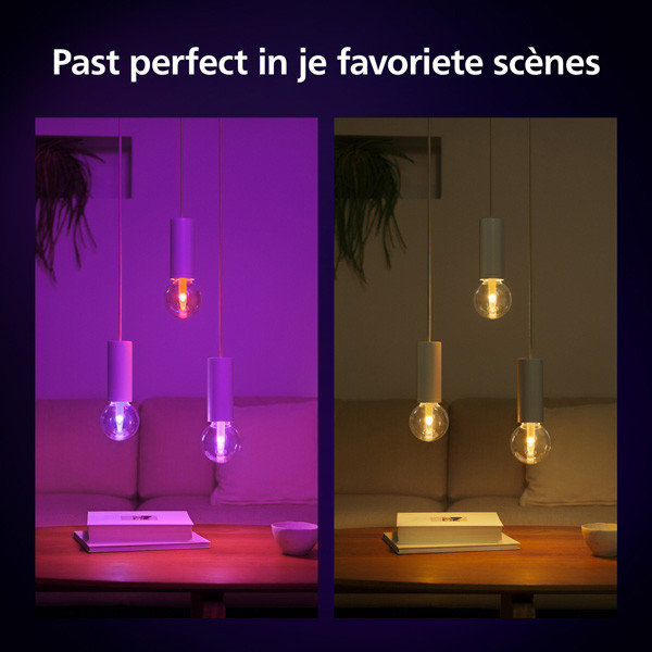 Philips Hue Lightguide E27 | Triangle | White en Color Ambiance | 500 lumen | 6.8W  LPH03723 - 6