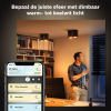 Philips Hue Opbouwspot | Pillar | White Ambiance | Incl. Dimmer Switch | Zwart | 2x 4.2W  LPH03706 - 4