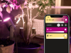 Philips Hue Outdoor Lily spot zwart | White en Color Ambiance | 3 stuks | Basisset 24V  LPH01436 - 5