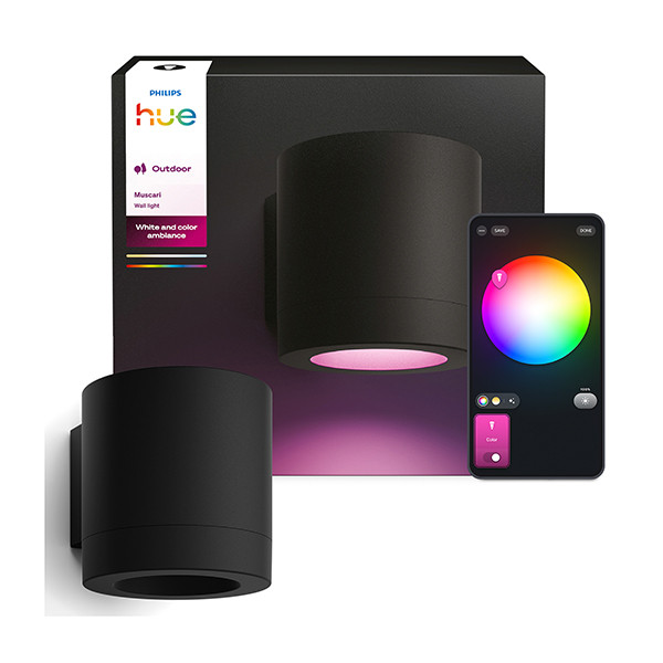 Philips Hue Outdoor Wandlamp | Muscari | White & Color Ambiance | Zigbee | IP44 | 4.2W | Zwart LPH05119 - 1
