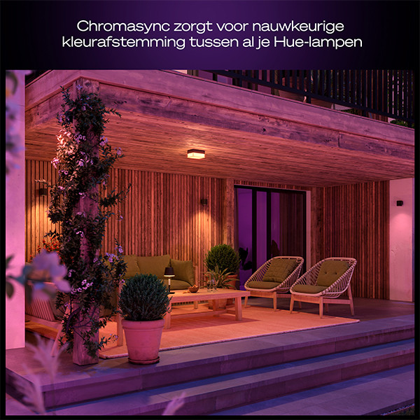 Philips Hue Outdoor Wandlamp | Muscari | White & Color Ambiance | Zigbee | IP44 | 4.2W | Zwart LPH05119 - 3