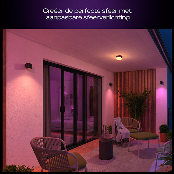 Philips Hue Outdoor Wandlamp | Muscari | White & Color Ambiance | Zigbee | IP44 | 4.2W | Zwart LPH05119 - 4