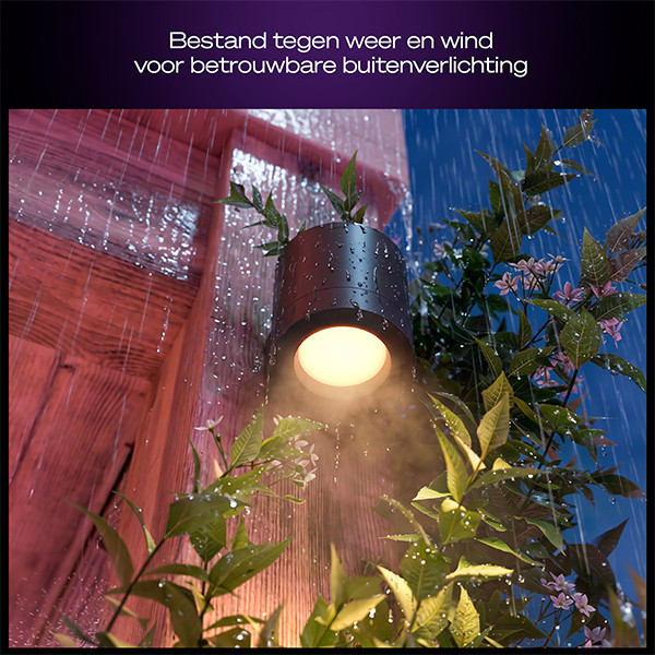 Philips Hue Outdoor Wandlamp | Muscari | White & Color Ambiance | Zigbee | IP44 | 4.2W | Zwart LPH05119 - 5