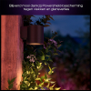 Philips Hue Outdoor Wandlamp | Muscari | White & Color Ambiance | Zigbee | IP44 | 4.2W | Zwart LPH05119 - 6