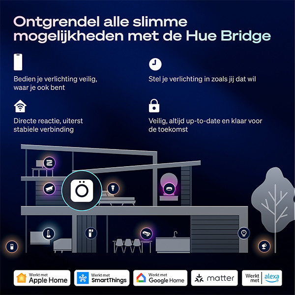 Philips Hue Outdoor Wandlamp | Muscari | White & Color Ambiance | Zigbee | IP44 | 4.2W | Zwart LPH05119 - 9