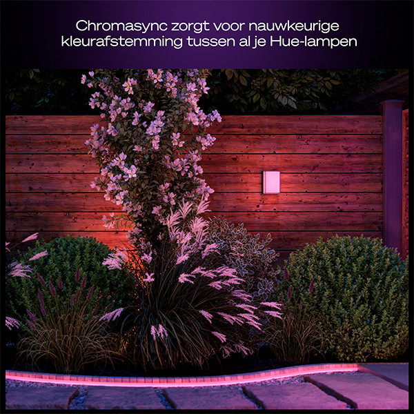 Philips Hue Outdoor Wandlamp | Scenova | White & Color Ambiance | Zigbee | IP44 | 7.2W | Zwart LPH05118 - 4