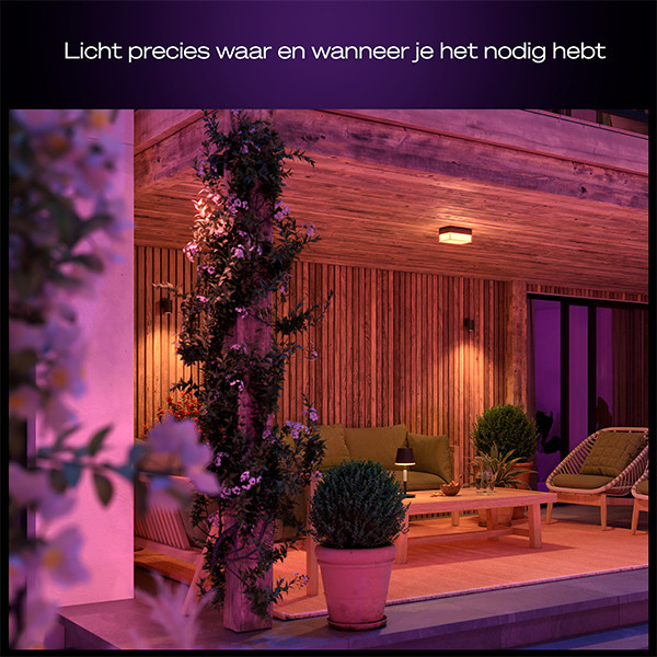 Philips Hue Outdoor Wandlamp | Scenova | White & Color Ambiance | Zigbee | IP44 | 7.2W | Zwart LPH05118 - 7
