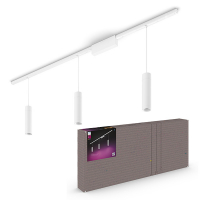 Philips Hue Perifo Plafondset | 3 hangspots | White en Color Ambiance | 510 lm | Wit  LPH03055
