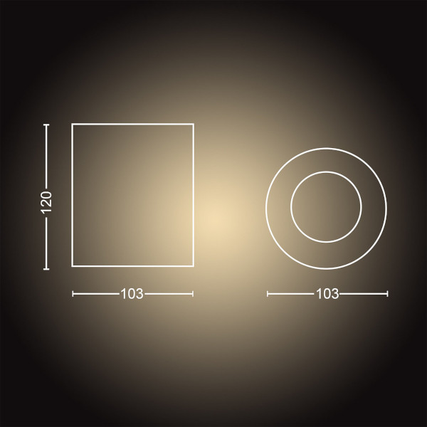 Philips Hue Pillar opbouwspot zwart | White Ambiance | incl. dimmer switch  LPH01543 - 9