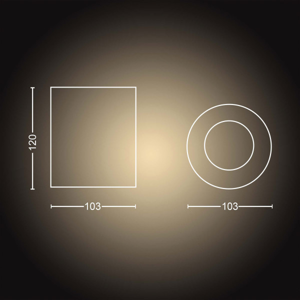 Philips Hue Pillar opbouwspot zwart | White Ambiance | incl. dimmer switch  LPH03708 - 4