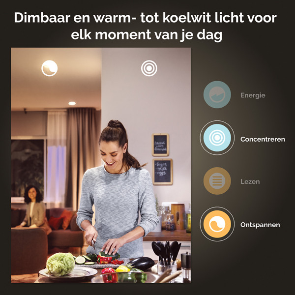 Philips Hue Runner Opbouwspot | Zwart | 2 spots | White Ambiance | incl. dimmer switch  LPH02812 - 6