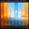 Philips Hue Slimme LED Downlight | Rond | Ø 17 cm | IP44 | White & Color Ambiance | Wit | Zigbee | 12W LPH05055 - 4