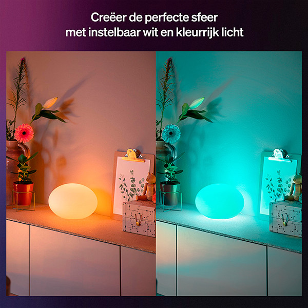 Philips Hue Slimme tafellamp E27 | Flourish | Rond | White & Color Ambiance | Zigbee | Antraciet | 6W LPH04754 - 2