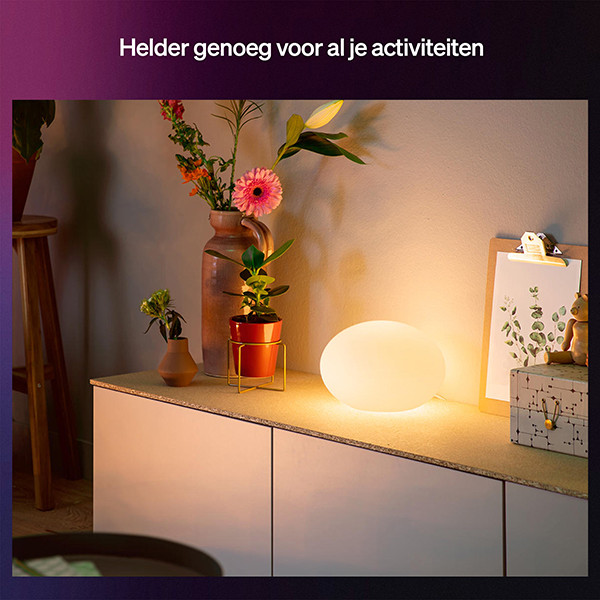 Philips Hue Slimme tafellamp E27 | Flourish | Rond | White & Color Ambiance | Zigbee | Antraciet | 6W LPH04754 - 3