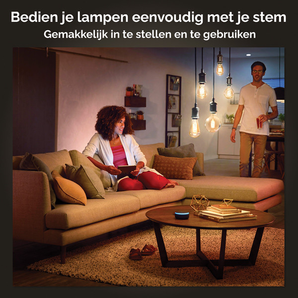 Philips Hue Smart lamp E27 | Globe G125 | Goud | White Ambiance | Zigbee | 7W (45W) LPH02738 - 7