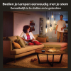 Philips Hue Smart lamp E27 | Globe G125 | Goud | White Ambiance | Zigbee | 7W (45W) LPH02738 - 7
