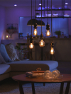 Philips Hue Smart lamp E27 | Peer A60 | Goud | White | Zigbee | 7W (45W) LPH01422 - 2