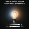 Philips Hue Smart lamp E27 | Peer A60 | Goud | White Ambiance | Zigbee | 7W (45W) LPH02734 - 4