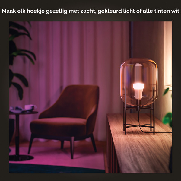 Philips Hue Smart lamp E27 | Peer A60 | Mat | White & Color Ambiance | Zigbee | 11W (75W) | 4 stuks LPH03640 - 5