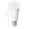Philips Hue Smart lamp E27 | Peer A67 | Mat | White & Color Ambiance | Zigbee LPH04284 - 2