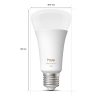 Philips Hue Smart lamp E27 | Peer A67 | Mat | White Ambiance | Zigbee LPH04280 - 2