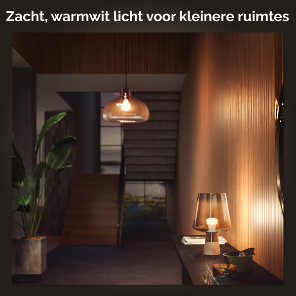 Philips Hue Smart lamp E27 | White | 800 lumen | 9W | 2 stuks  LPH02727 - 5