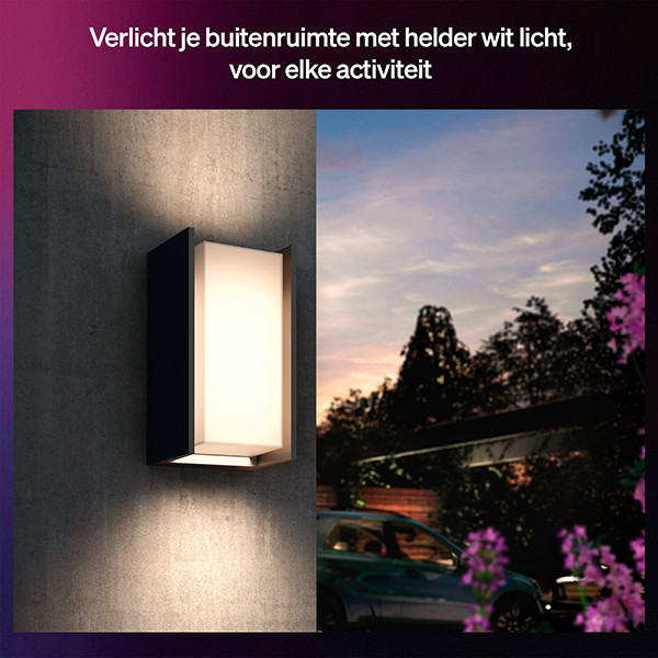 Philips Hue Smart wandlamp buiten E27 | Turaco | Rechthoek | White & Color Ambiance | IP44 | Zigbee | Antraciet | 8.1W LPH04753 - 4