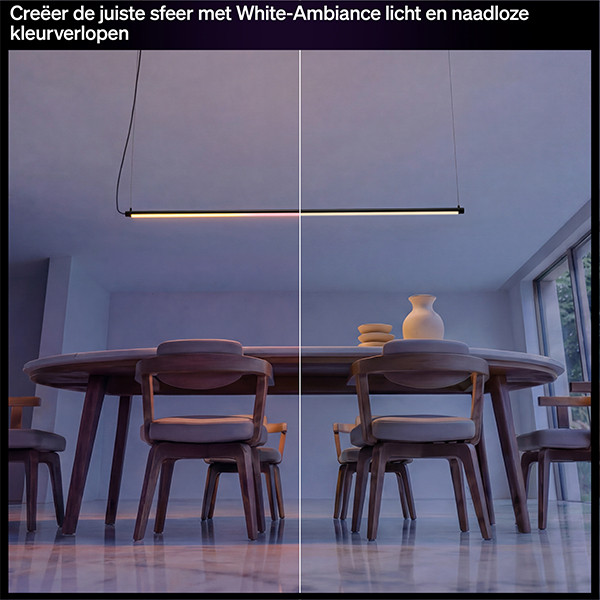 Philips Hue Tube Hanglamp | Signe | 130 cm | White & Color Ambiance | Zigbee | 25W | Zwart LPH05115 - 4