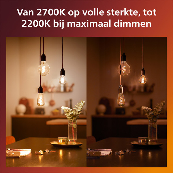 Philips LED lamp E27 | Edison ST64 | Filament | 2200-2700K | WarmGlow | 7W (50W) LPH03894 - 4