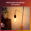 Philips LED lamp E27 | Edison ST64 | WarmGlow | Amber | Filament | 2200-2700K | 7W (50W)  LPH03894 - 5