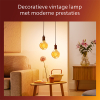 Philips LED lamp E27 | Globe G95 | Filament | Goud | 1800K | Dimbaar | 3.1W (25W) LPH04100 - 4