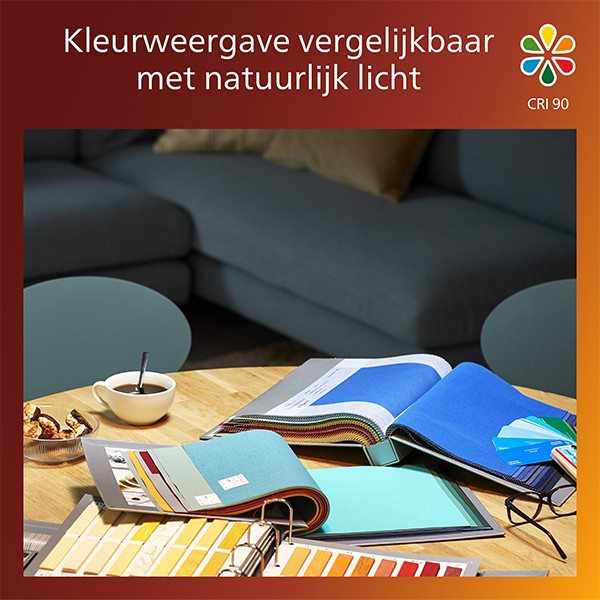 Philips LED lamp E27 | Globe G95 | Filament | Goud | 1800K | Dimbaar | 3.1W (25W) LPH04100 - 6