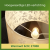 Philips LED lamp E27 | Kogel P45 | Ultra Efficient | Filament | Helder | 2700K | 3.8W (60W) LPH04557 - 5