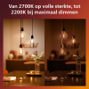 Philips LED lamp E27 | Peer A60 | Filament | 2200-2700K | WarmGlow | 7W (50W) LPH03892 - 4