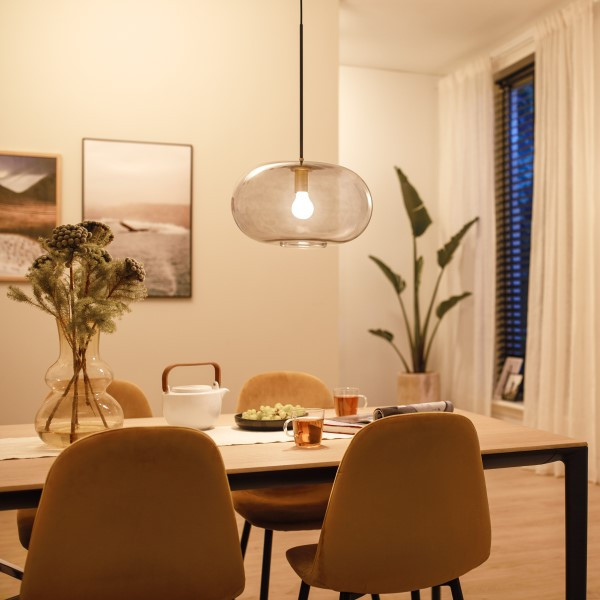Philips LED lamp E27 | Peer A60 | Mat | 2700K | 8W (60W) | 5 stuks LPH04990 - 2
