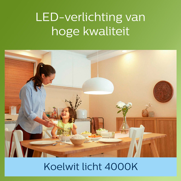 Philips LED lamp E27 | UltraEfficient | Peer A60 | Filament | 4000K | 2.3W (40W) LPH02571 - 4