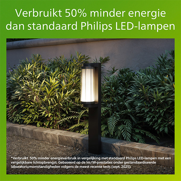 Philips Lantaarn | Ultra Efficient | Avendale | 2700K | IP44 | 4.3W | Zwart LPH05146 - 3