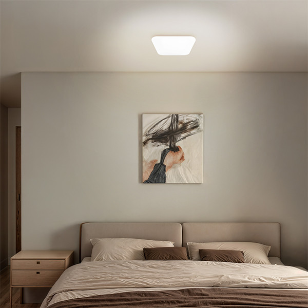 Philips Plafondlamp | Vierkant | Mauve | 2700K | 17W LPH04767 - 7