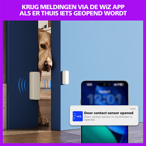 Philips Smart LED Contactsensor | Op batterij | Bluetooth | Wit LPH05136 - 3